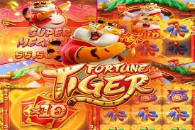 responsible betting guide usage on bdokbet for Bangladesh adult users